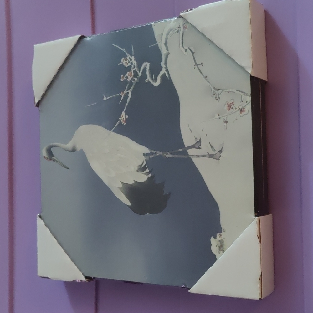 🎊Framed Asian bird art